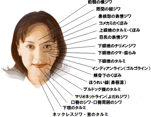 貴方のお顔や身体の特徴を診察・分析致します