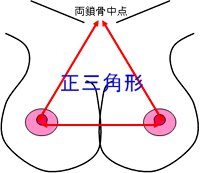 幾何学的なバストの美